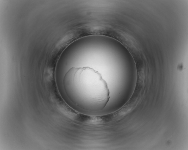 X0000092010278200709061539