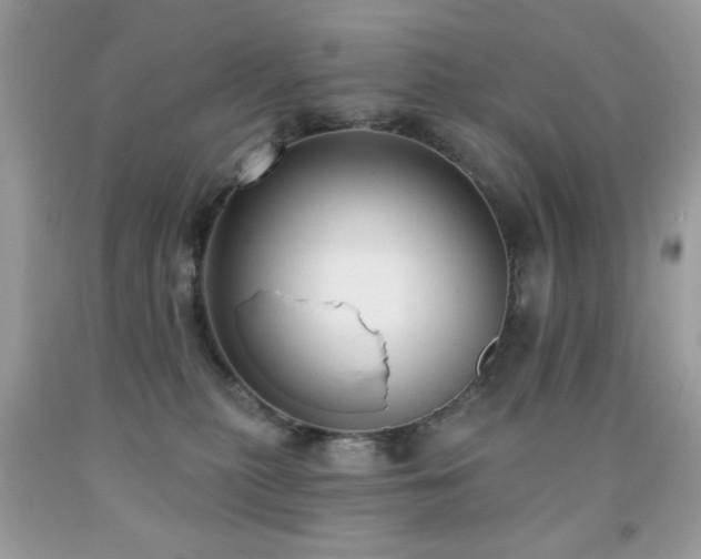 X0000092010279200709061539