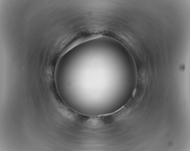 X0000092010280200709061539