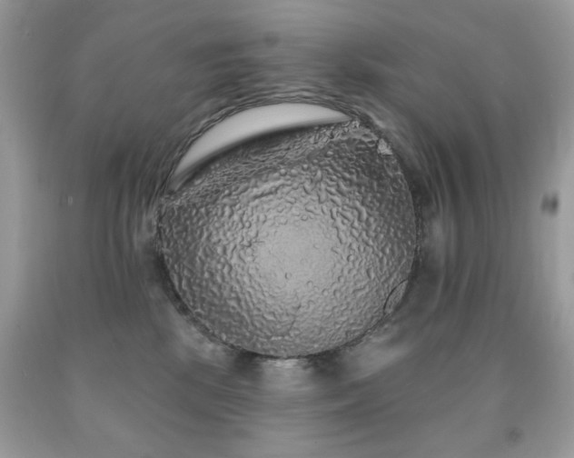 X0000092010281200709061539