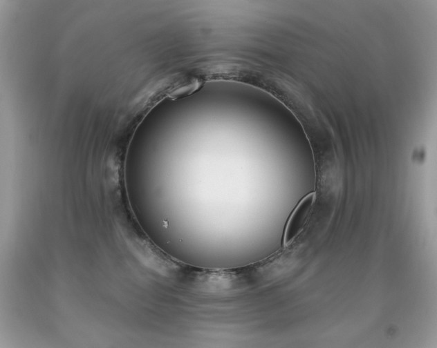 X0000092010282200709061539