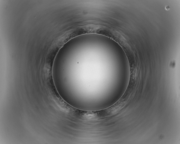 X0000092010283200709061539