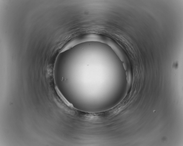 X0000092010284200709061539