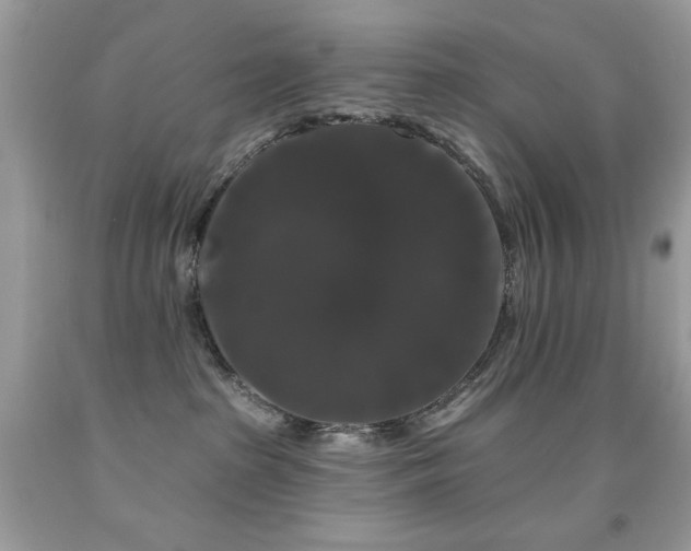 X0000092010285200709061539