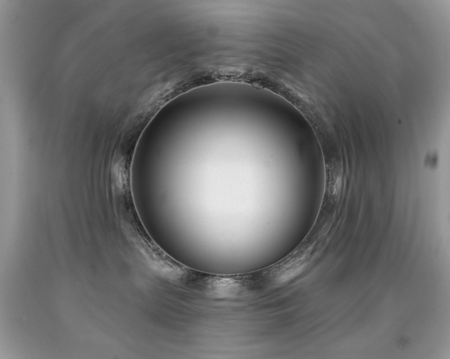 X0000092010287200709061539