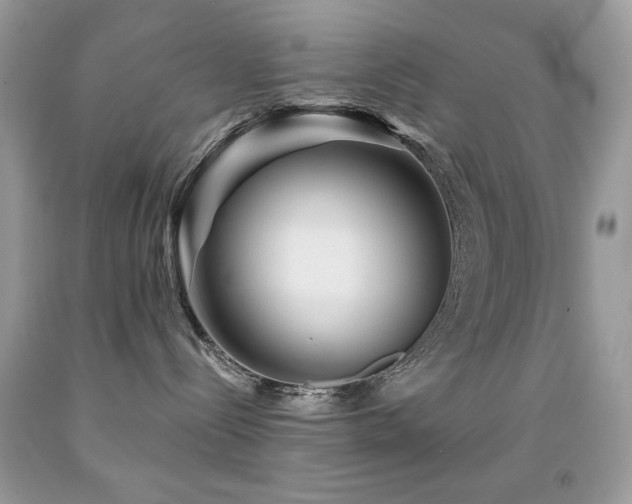 X0000092010288200709061539