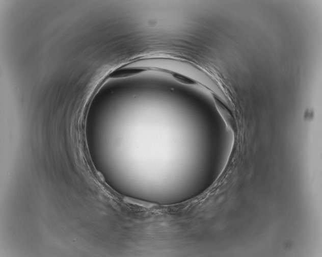 X0000092010289200709061538