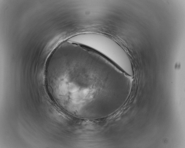 X0000092010290200709061538