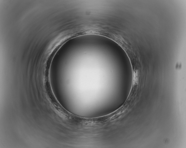 X0000092010291200709061538