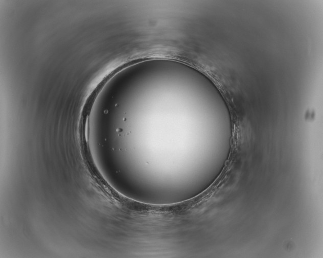 X0000092010292200709061538