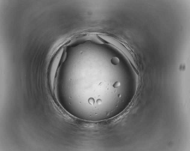 X0000092010293200709061538