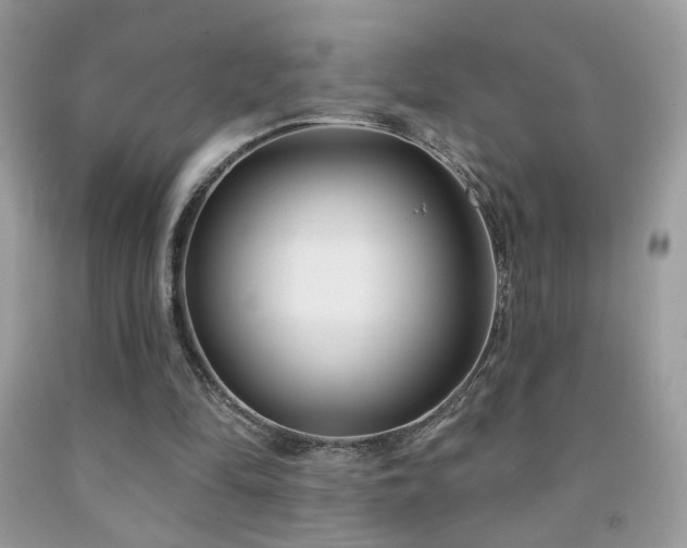 X0000092010294200709061538