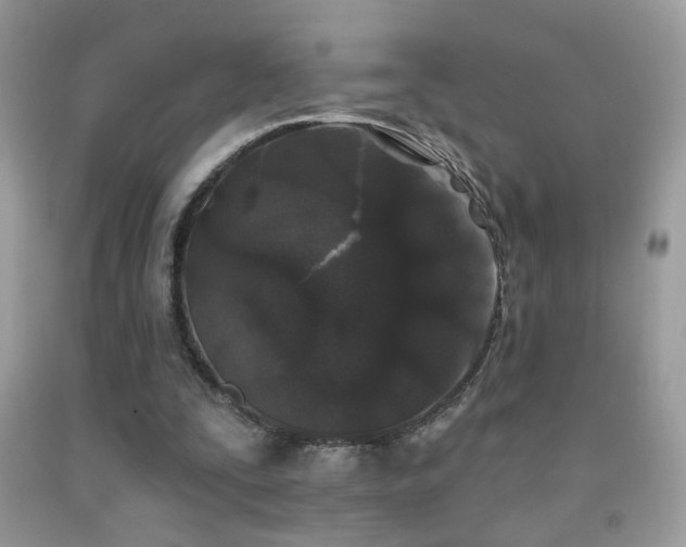 X0000092010295200709061538