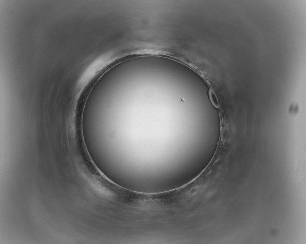 X0000092010296200709061538