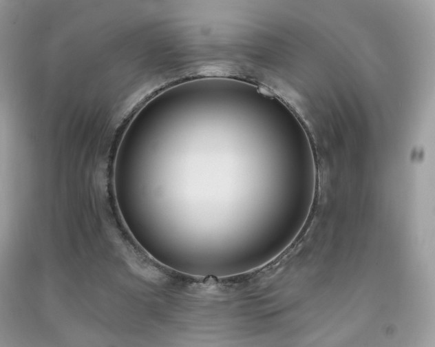X0000092010297200709061538