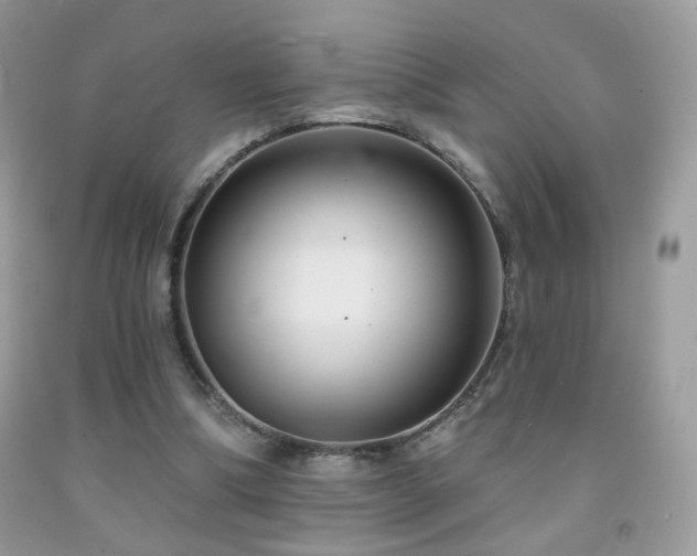 X0000092010298200709061538