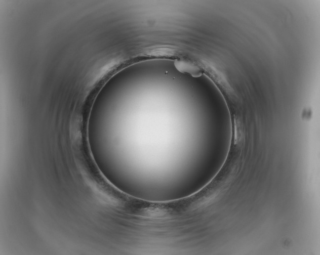 X0000092010300200709061538