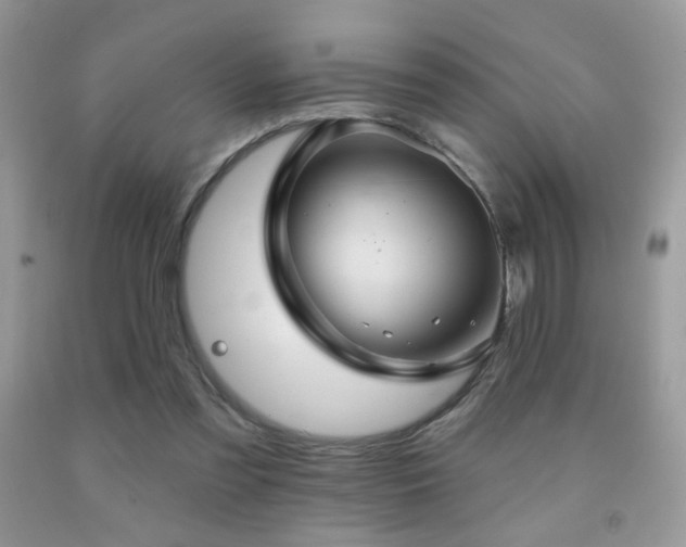 X0000092010301200709061538