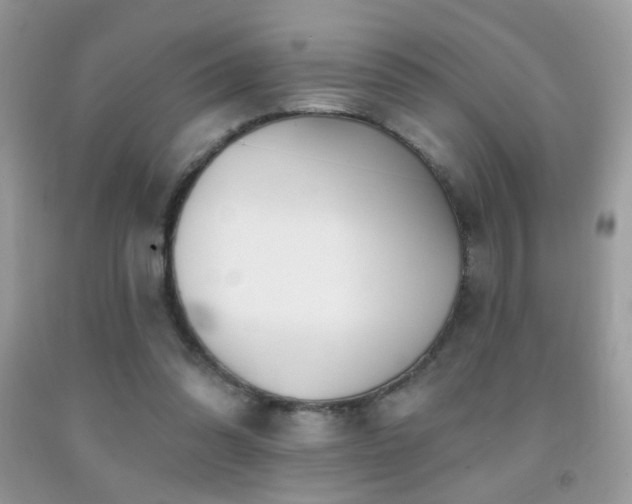 X0000092010302200709061538