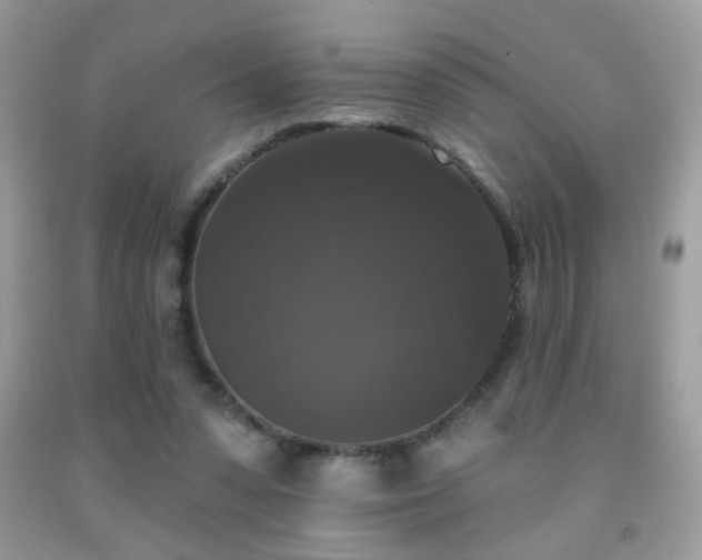 X0000092010303200709061538