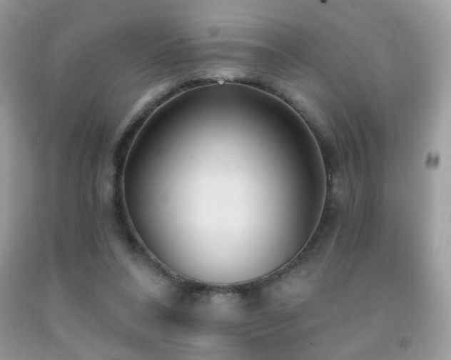 X0000092010304200709061538