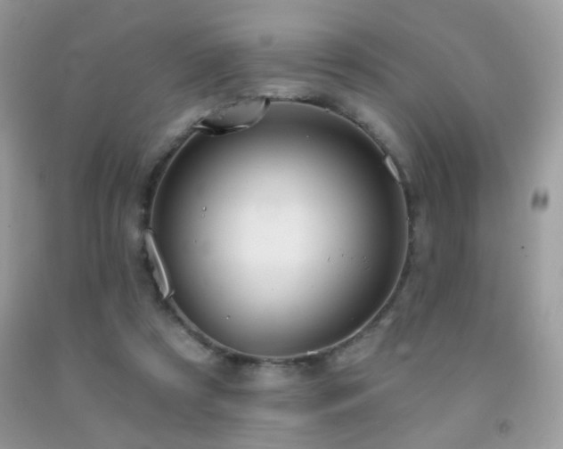 X0000092010305200709061538