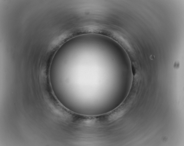 X0000092010306200709061538
