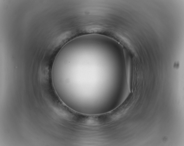 X0000092010308200709061538