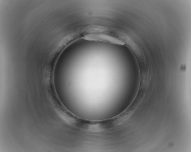 X0000092010309200709061538