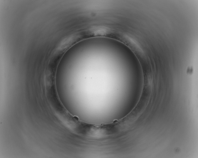 X0000092010311200709061538
