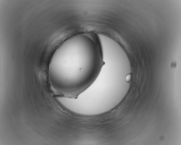 X0000092010313200709061538