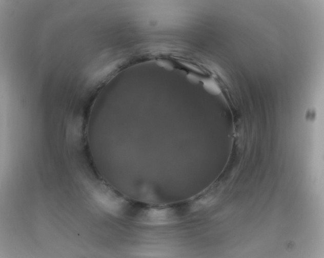 X0000092010314200709061538