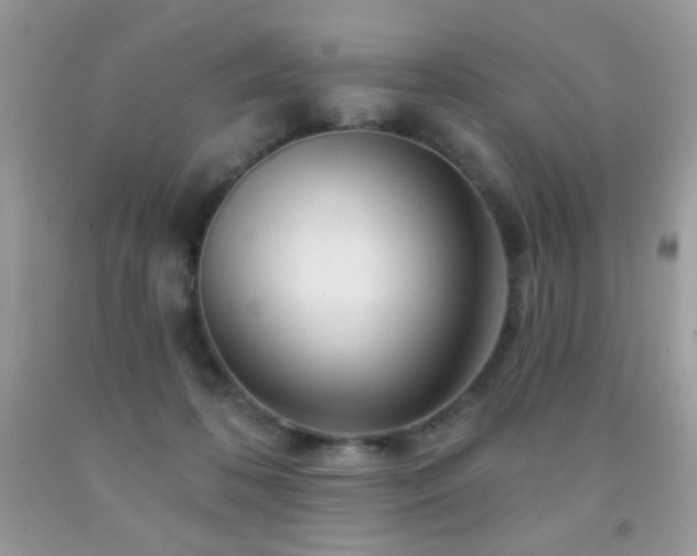X0000092010316200709061538