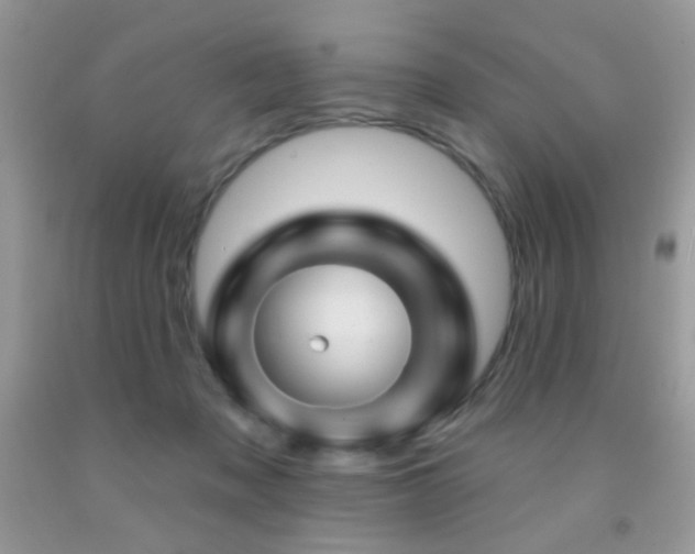 X0000092010317200709061538