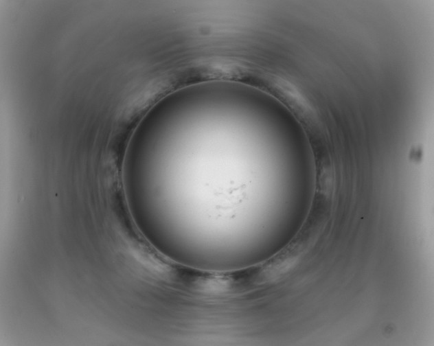 X0000092010318200709061538