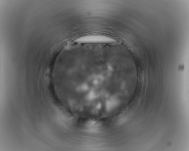 X0000092010319200709061538
