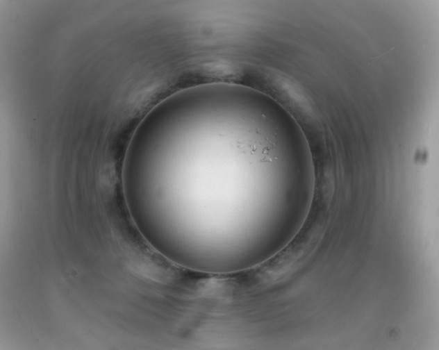 X0000092010320200709061538