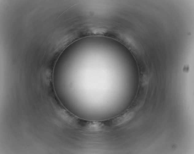 X0000092010321200709061538