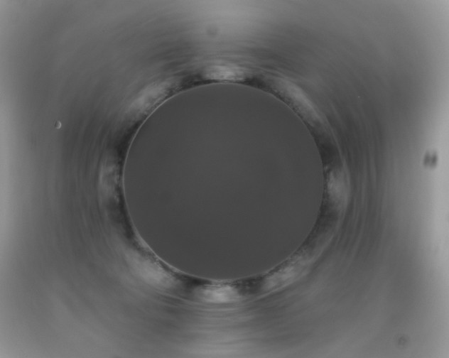 X0000092010322200709061538