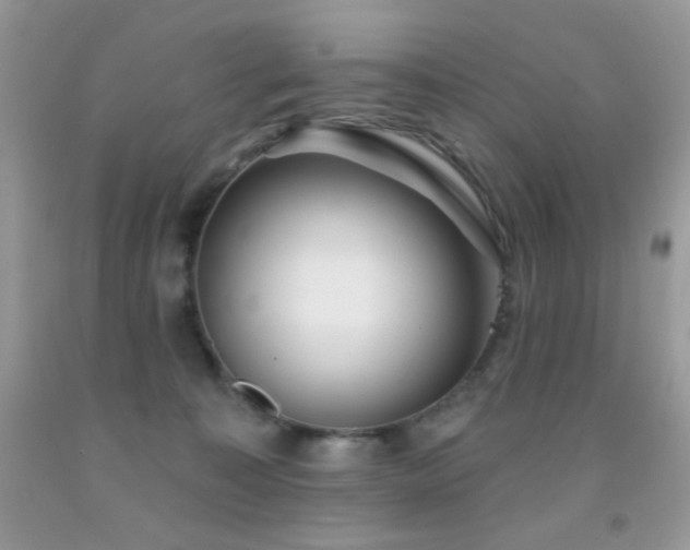 X0000092010323200709061538