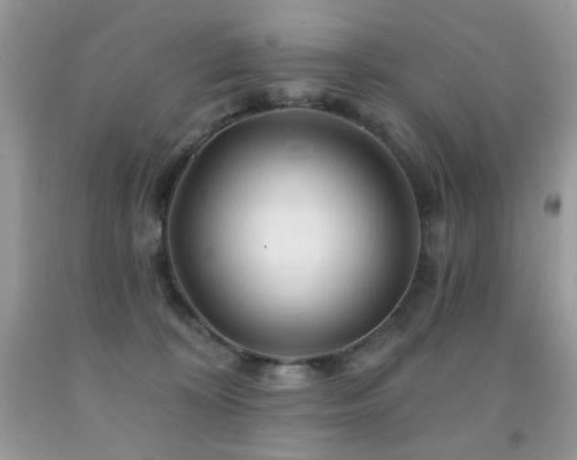 X0000092010324200709061538