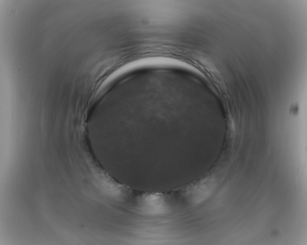 X0000092010325200709061538
