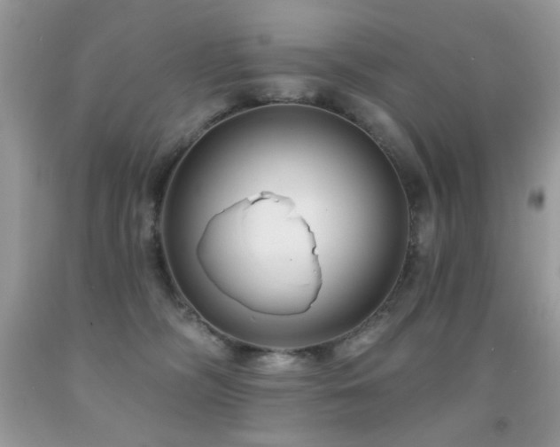 X0000092010326200709061538