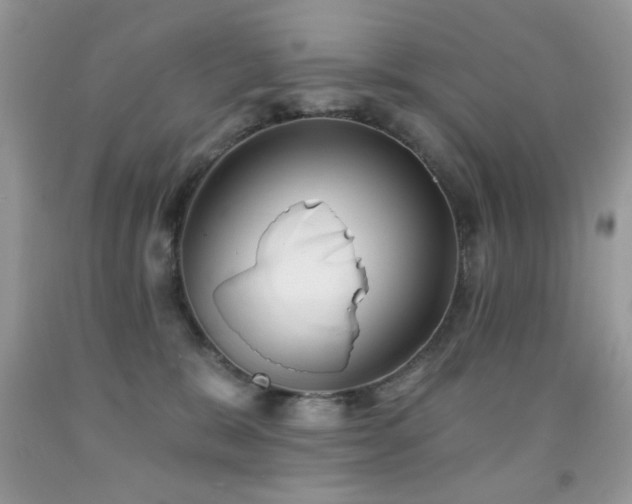 X0000092010327200709061538