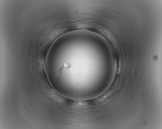 X0000092010329200709061538