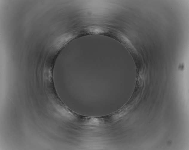X0000092010330200709061538