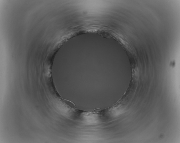X0000092010331200709061538