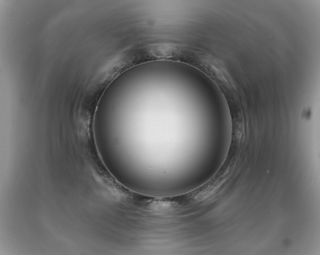 X0000092010332200709061538