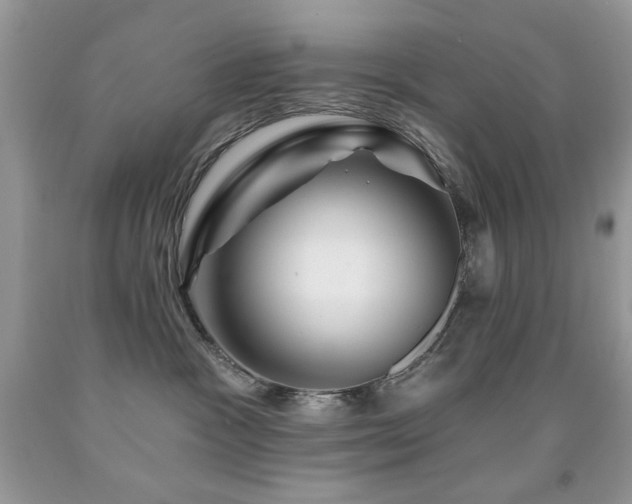 X0000092010333200709061538