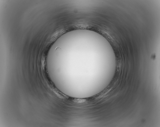X0000092010334200709061538